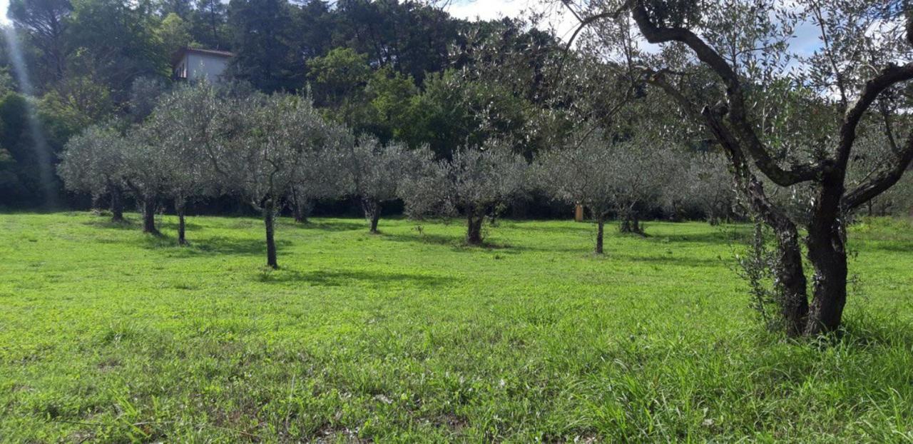San Giustino Valdarno Agricampeggio Borgo Agna מראה חיצוני תמונה