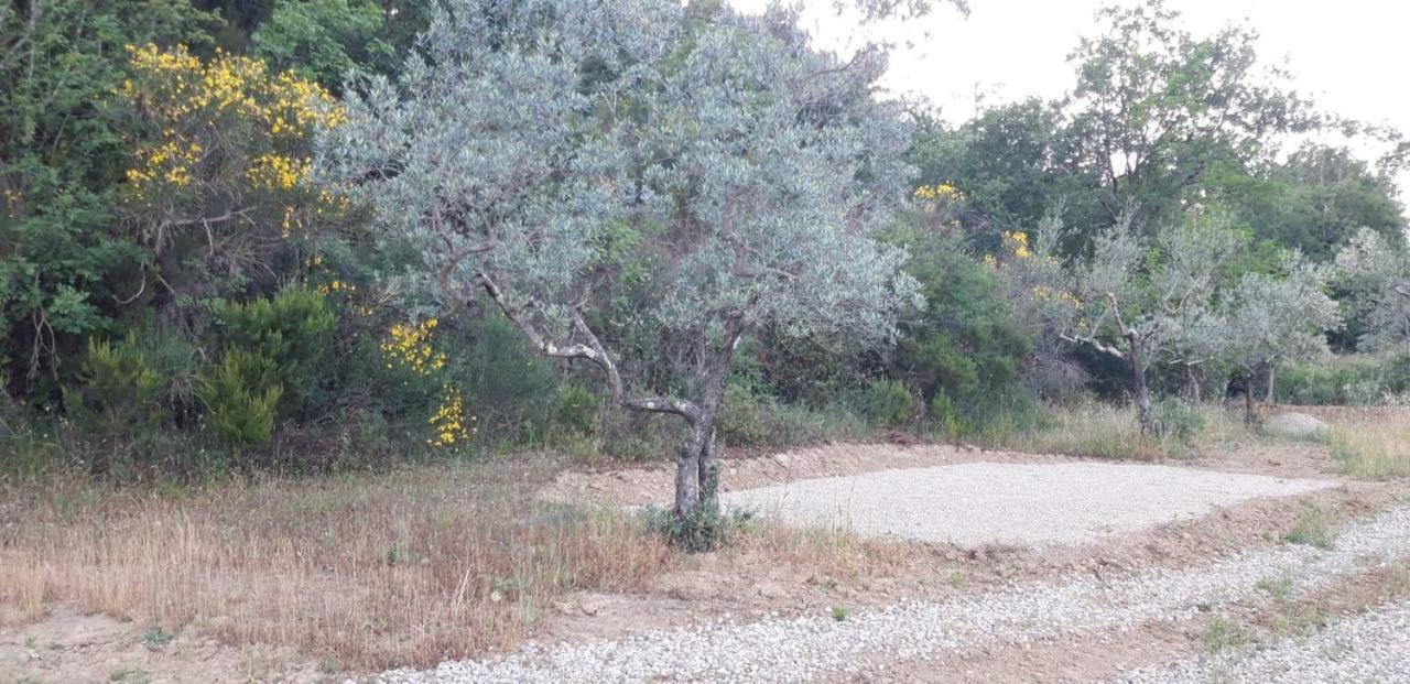 San Giustino Valdarno Agricampeggio Borgo Agna מראה חיצוני תמונה
